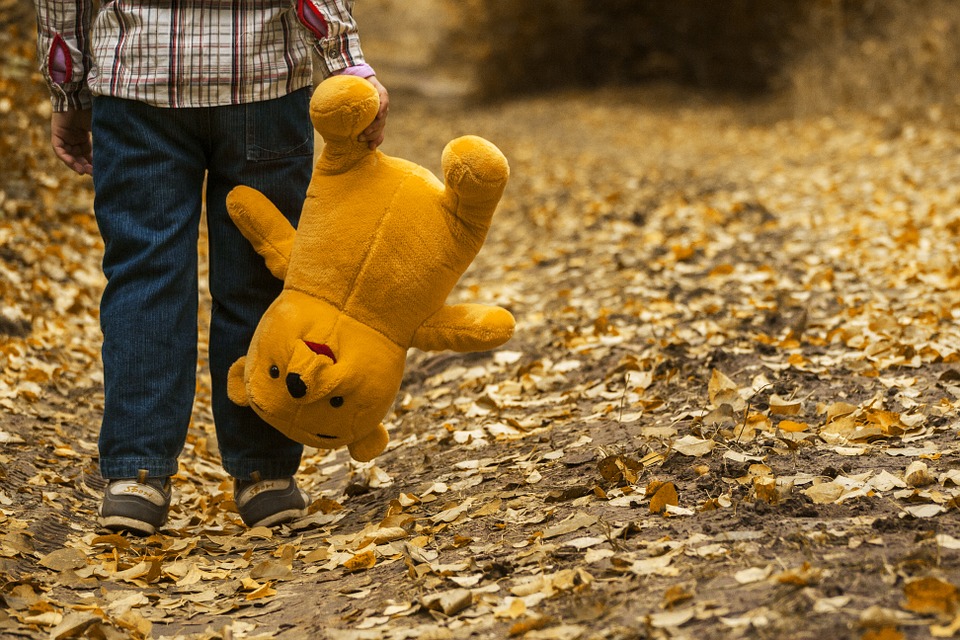 teddy bear